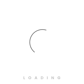Digitale Website Loader